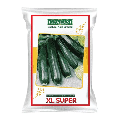 XL Super F1 Hybrid Ridge Gourd Seeds - এক্সএল সুপার হাইব্রিড ঝিঙ্গা বীজ (Extra Long & High Yield)