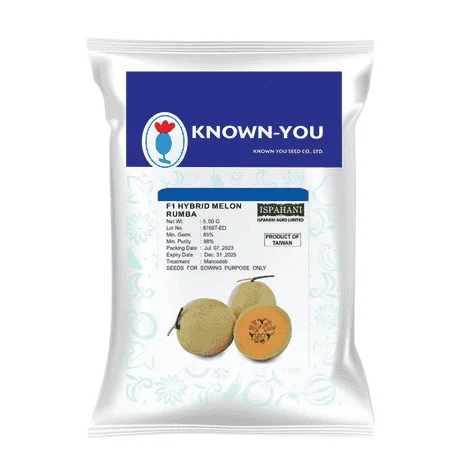 F1 Hybrid Rockmelon Rumba Seeds - উচ্চফলনশীল ও সুমিষ্ট হাইব্রিড রকমেলন রুম্বা