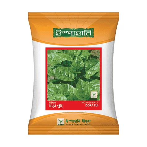 Dora Pui Hybrid Malabar Spinach Seeds - দড়া পুঁই হাইব্রিড পুঁই শাক বীজ (Fast Growing & Thick Stem)