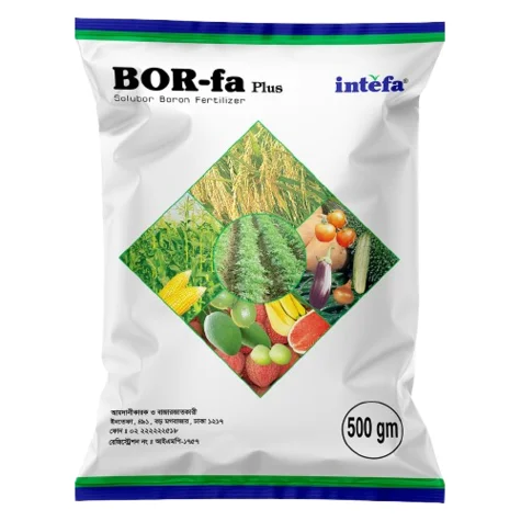 BOR-fa PLUS (বোর-ফা প্লাস)