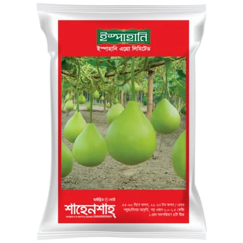 Shahenshah F1 Hybrid Bottle Gourd Seeds - শাহেনশাহ হাইব্রিড লাউ বীজ (High Yielding & Attractive Shape)