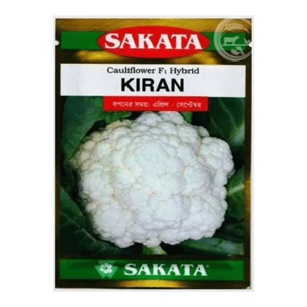 Kiran F1 Hybrid Cauliflower Seeds - কিরণ হাইব্রিড ফুলকপি বীজ (Super White & Compact)