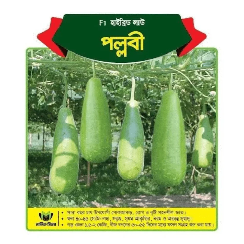 Pallabi Hybrid Bottle Gourd Seeds - পল্লবী হাইব্রিড লাউ বীজ (High Yielding & Premium Quality)