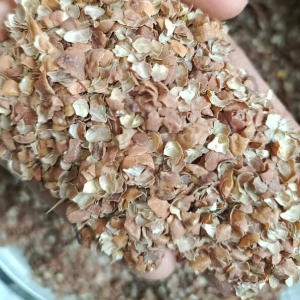 Pure Chickpea Husk for Cattle - গবাদি পশুর জন্য ১০০% বিশুদ্ধ পুষ্টিকর ছোলার ভূসি