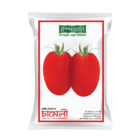 Chameli F1 Hybrid Tomato Seed - চামেলী হাইব্রিড টমেটো বীজ (Original Intake)