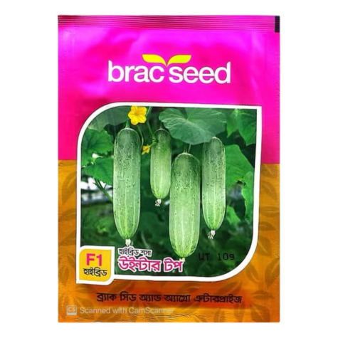F1 Cucumber Seed Winter Top (উইন্টার টপ শসা বীজ) | High Yield Winter Cucumber Seeds BD