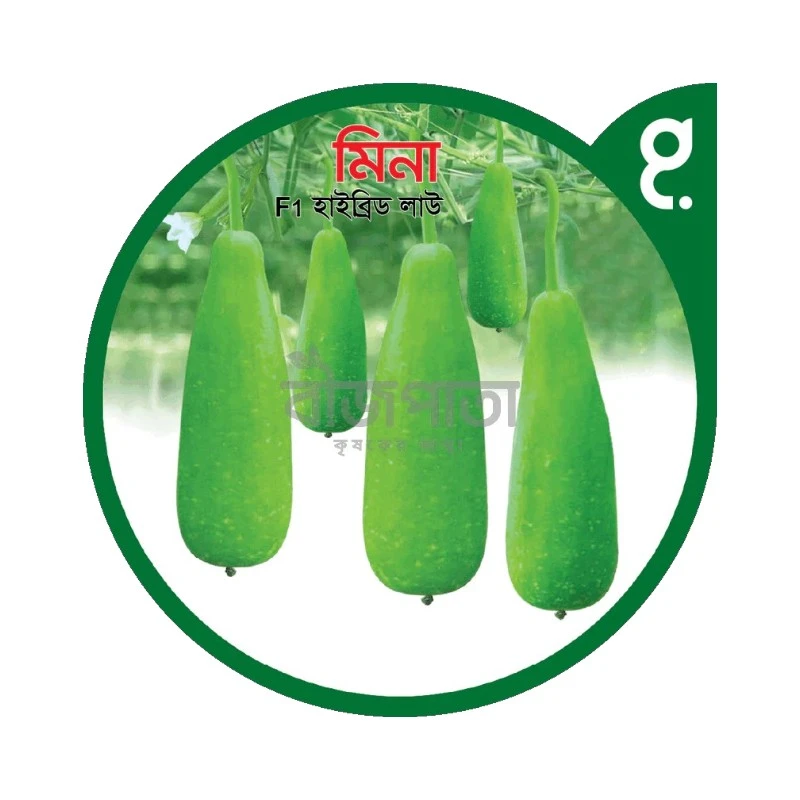 মিনা এফ১-হাইব্রিড লাউ বীজ|বীজপাতা|Mina F1-Bottle Gourd Seed|Bizpata