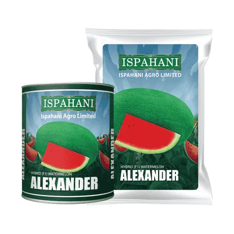 F1 Hybrid Watermelon Alexander Seeds - উচ্চফলনশীল ও সুস্বাদু হাইব্রিড তরমুজ এলেক্সজান্ডার