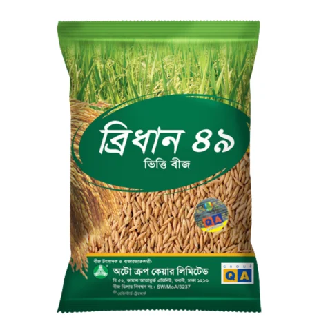 High Yield BRRI-49 Rice Seeds - উন্নত মানের উচ্চফলনশীল ধান বীজ  ব্রি-৪৯