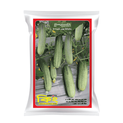 F1 Hybrid Cucumber Seed King (কিং শসা বীজ) | High Yield Hybrid Cucumber Seeds BD