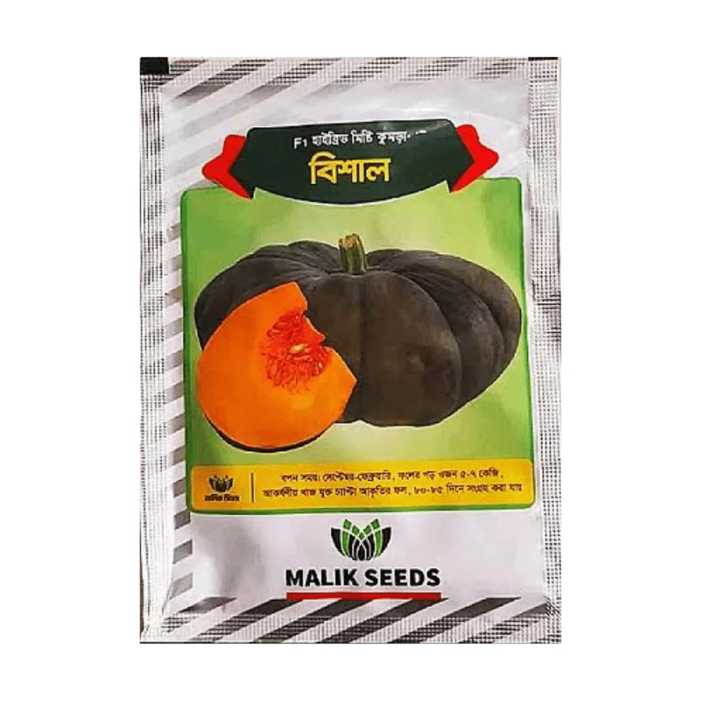 Bishal F1 Hybrid Pumpkin Seed - বিশাল হাইব্রিড মিষ্টি কুমড়া বীজ (Extra Large Size)