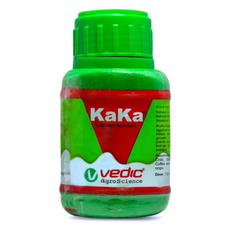 Kaka (কাকা)