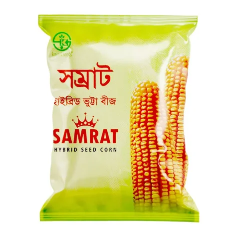 F1 Hybrid Maize SAMRAT - উচ্চফলনশীল হাইব্রিড ভুট্টা সম্রাট বীজ