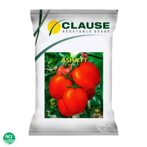 Asha F1 Hybrid Tomato Seed - আশা হাইব্রিড টমেটো বীজ (High Yielding)