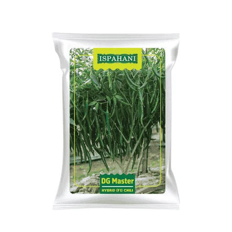 F1 Hybrid Chili Seed DG Master (High Yield) - ডিজি মাস্টার হাইব্রিড মরিচ বীজ