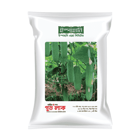 F1 Hybrid Cucumber Seed Good Luck (গুড লাক শসা বীজ) | High Yield Cucumber Seeds BD
