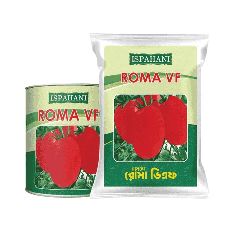 Roma VF F1 Hybrid Tomato Seed - রোমা ভিএফ হাইব্রিড টমেটো বীজ (High Yielding)