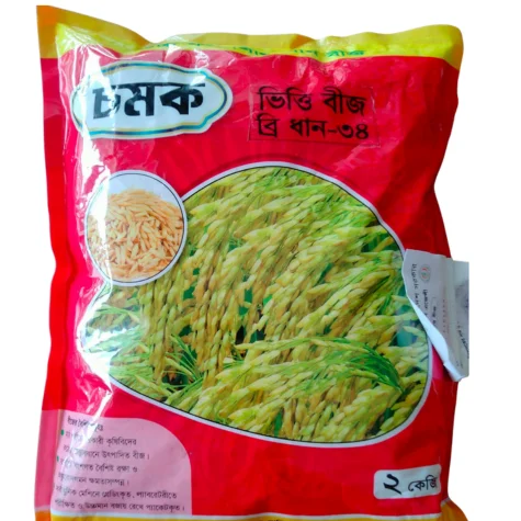 BRRI-34 Aromatic Rice Seeds - প্রিমিয়াম কোয়ালিটি ব্রি-৩৪ সুগন্ধি ধান বীজ (চিনিগুঁড়া ধানের বিকল্প)