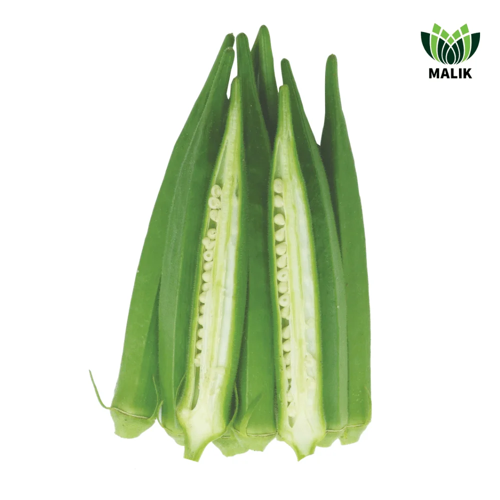 Shanti F1 Hybrid Okra Seed - শান্তি হাইব্রিড ঢেঁড়স বীজ (YVMV Resistant)