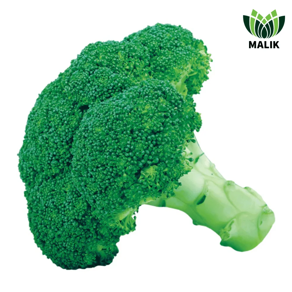 Green Giant Hybrid Broccoli Seeds - গ্রীন জায়ান্ট হাইব্রিড ব্রকলি বীজ (High Yielding & Premium Quality)