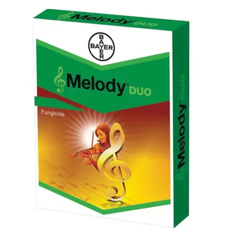 MELODY DUO (মেলডি ডুয়ো)
