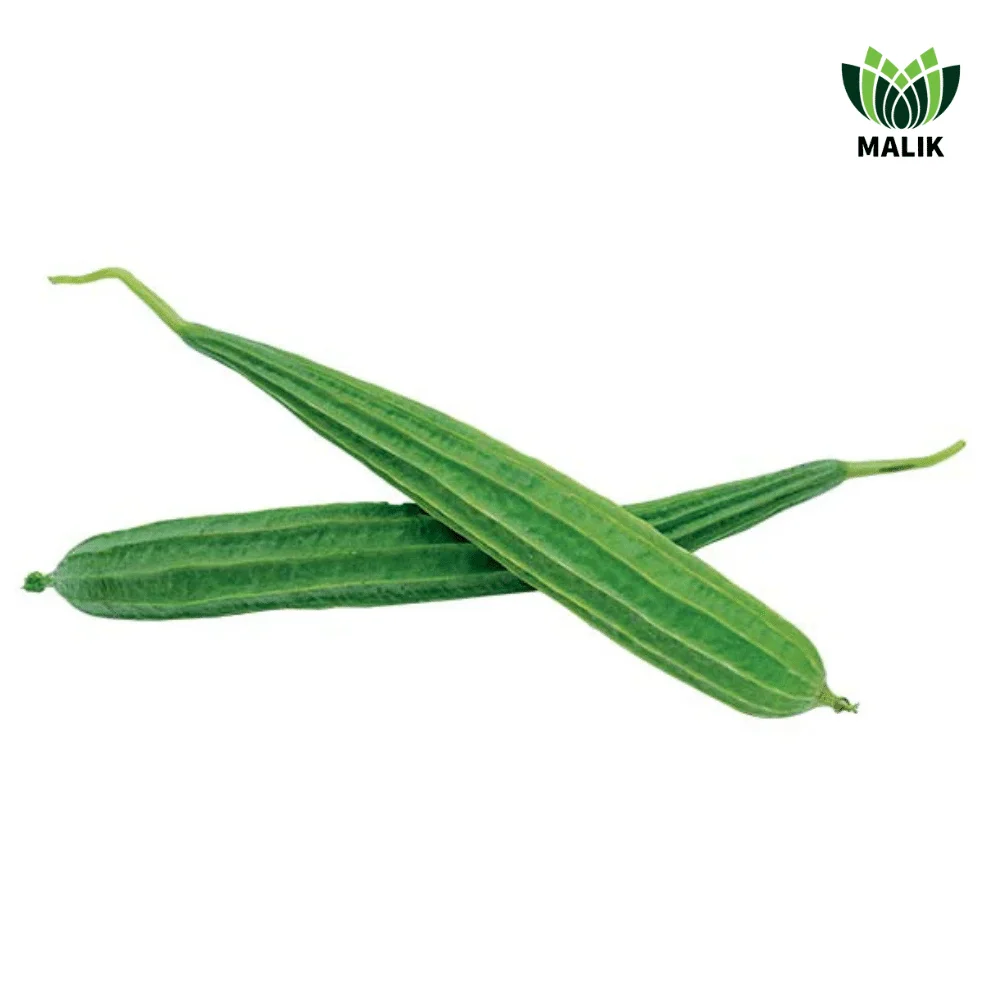 Sagor Plus F1 Hybrid Ridge Gourd Seeds - সাগর প্লাস হাইব্রিড ঝিঙ্গা বীজ (Extra Long & High Yield)