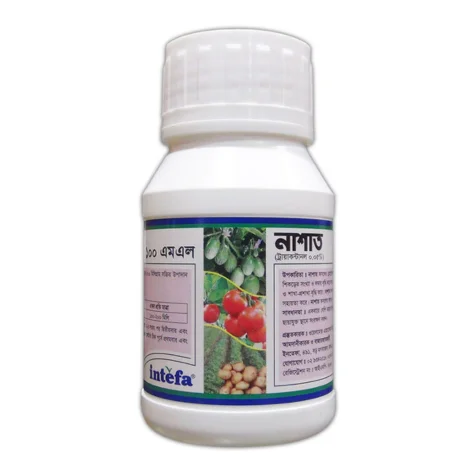 NASAT (নাশাত)