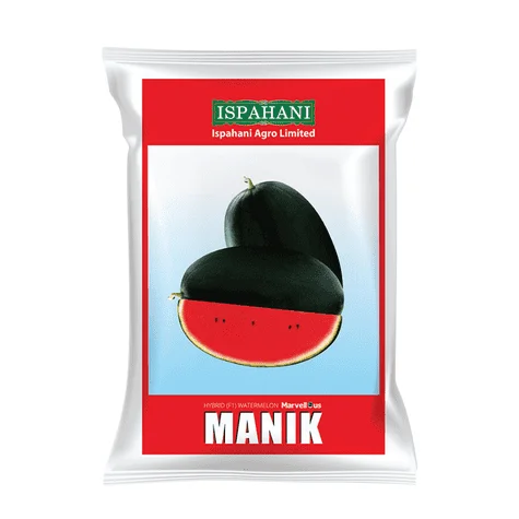 F1 Hybrid Watermelon Manik Seeds - উচ্চফলনশীল ও মিষ্টি হাইব্রিড তরমুজ বীজ মানিক
