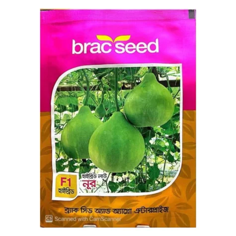 Noor F1 Hybrid Bottle Gourd Seeds - নুর হাইব্রিড লাউ বীজ (High Yielding & Delicious)