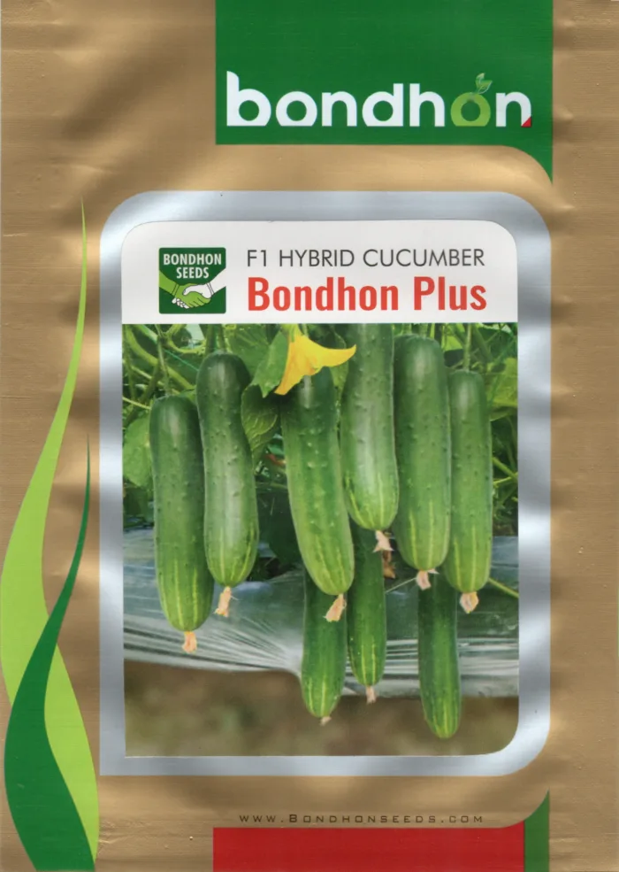 F1 Cucumber - Bondhon Plus (বন্ধন প্লাস)