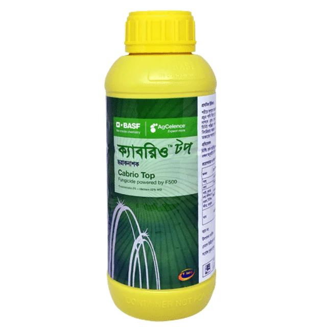 Cabrio Top (ক্যাবরিও টপ)