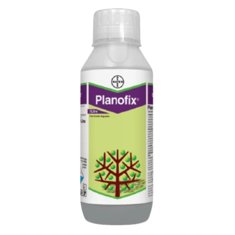 Planofix (প্লানোফিক্স)