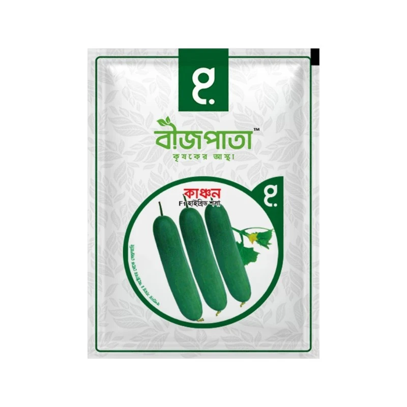 কাঞ্চন-হাইব্রিড শসা বীজ|বীজপাতা|Kanchan-Cucumber Seed|Bizpata