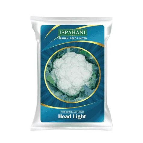 Head Light F1 Hybrid Cauliflower Seeds - হেড লাইট হাইব্রিড ফুলকপি বীজ (Snow White & Compact)