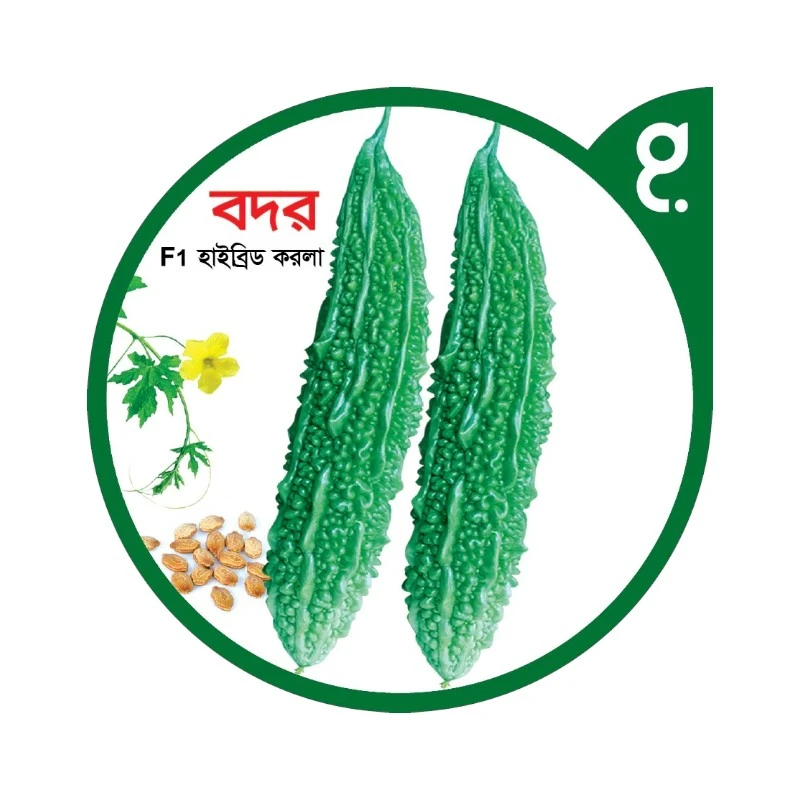 বদর-হাইব্রিড করলা বীজ|বীজপাতা|Badar-Bitter Gourd Seed|Bizpata