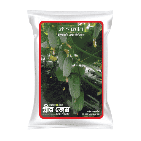 F1 Hybrid Cucumber Seed Green Jem (গ্রীণ জেম শসা বীজ) | High Yield Cucumber Seeds BD