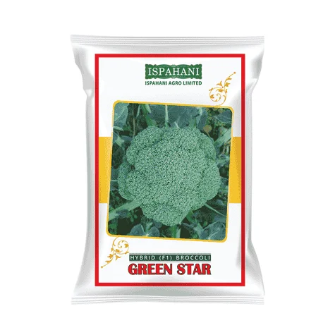 Green Star F1 Hybrid Broccoli Seeds - গ্রীন স্টার হাইব্রিড ব্রকলি বীজ (Premium Quality & High Yield)