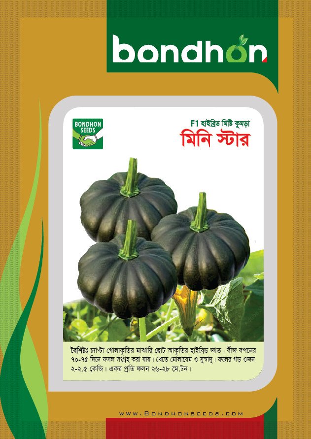 Mini Star F1 Hybrid Pumpkin Seed - মিনি স্টার হাইব্রিড মিষ্টি কুমড়া বীজ (Original Intake)