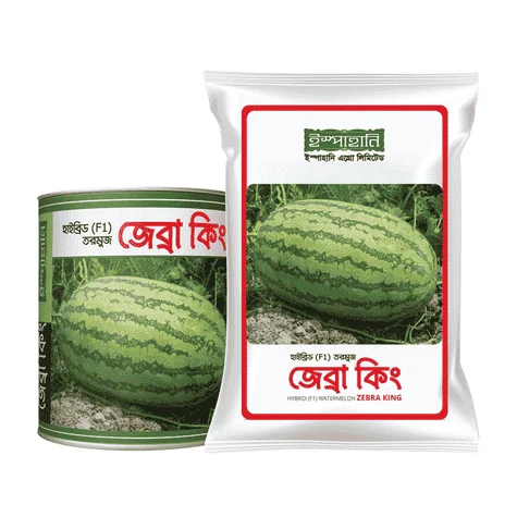 F1 Hybrid Watermelon Zebra King Seeds - উচ্চফলনশীল ও মিষ্টি হাইব্রিড তরমুজ জেব্রা কিং