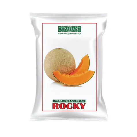 F1 Hybrid Rockmelon Rocky Seeds - উচ্চ ফলনশীল ও সুমিষ্ট হাইব্রিড রকমেলন রকি