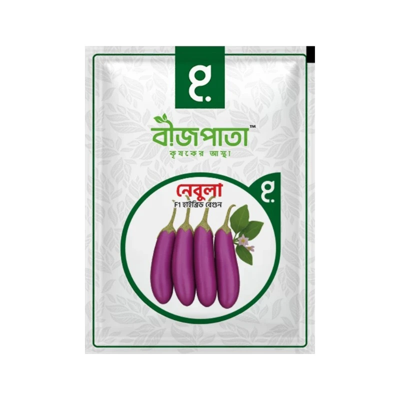 নেবুলা এফ১-হাইব্রিড বেগুন বীজ|বীজপাতা|Nebula- Eggplant Seed|Bizpata