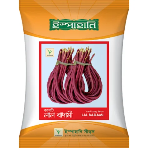 Lal Badami Yard Long Bean Seed - লাল বাদামি বরবটি বীজ (High Yielding & Tasty)