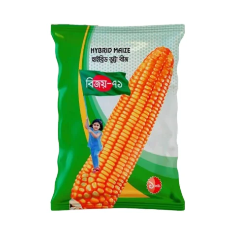 F1 Hybrid Maize Bijoy 71 - রাফিদ সিডসের উচ্চফলনশীল হাইব্রিড ভূট্টা বিজয় ৭১