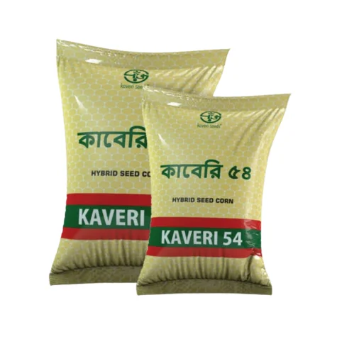 Kaberi 54 Hybrid Maize Seed - উচ্চফলনশীল হাইব্রিড ভুট্টা বীজ কাবেরি ৫৪