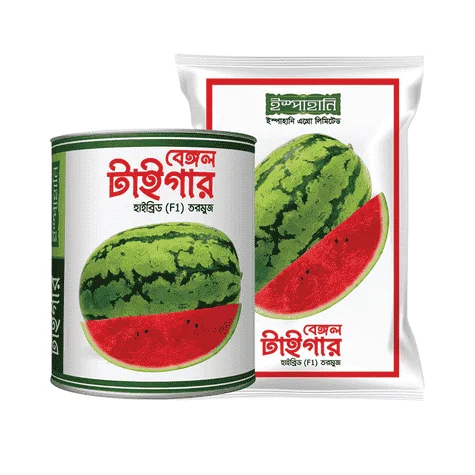 F1 Hybrid Watermelon Bengal Tiger Seeds - অধিক মিষ্টি ও উচ্চফলনশীল হাইব্রিড তরমুজ বেঙ্গল টাইগার