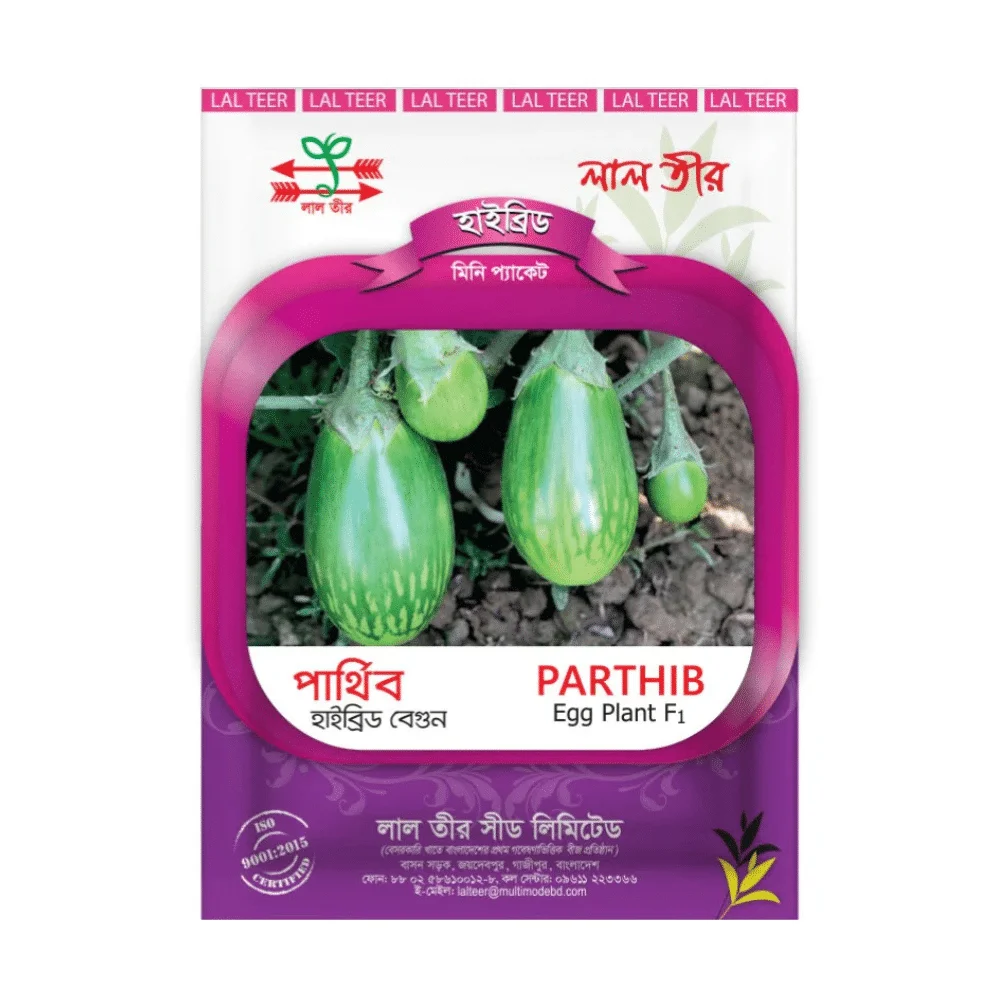 Parthib Hybrid Brinjal Seeds - পার্থিব হাইব্রিড বেগুন বীজ (High Yielding & Pest Resistant)