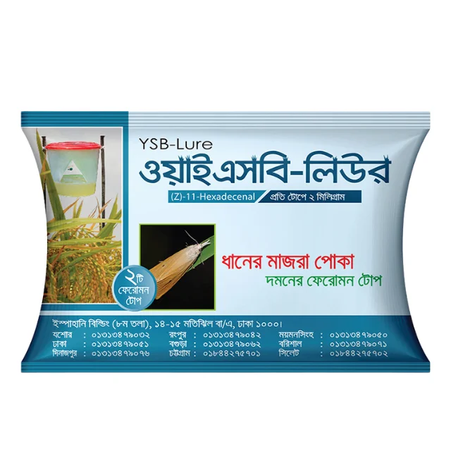 YSB Lure (ওয়াইএসবি লিউর)