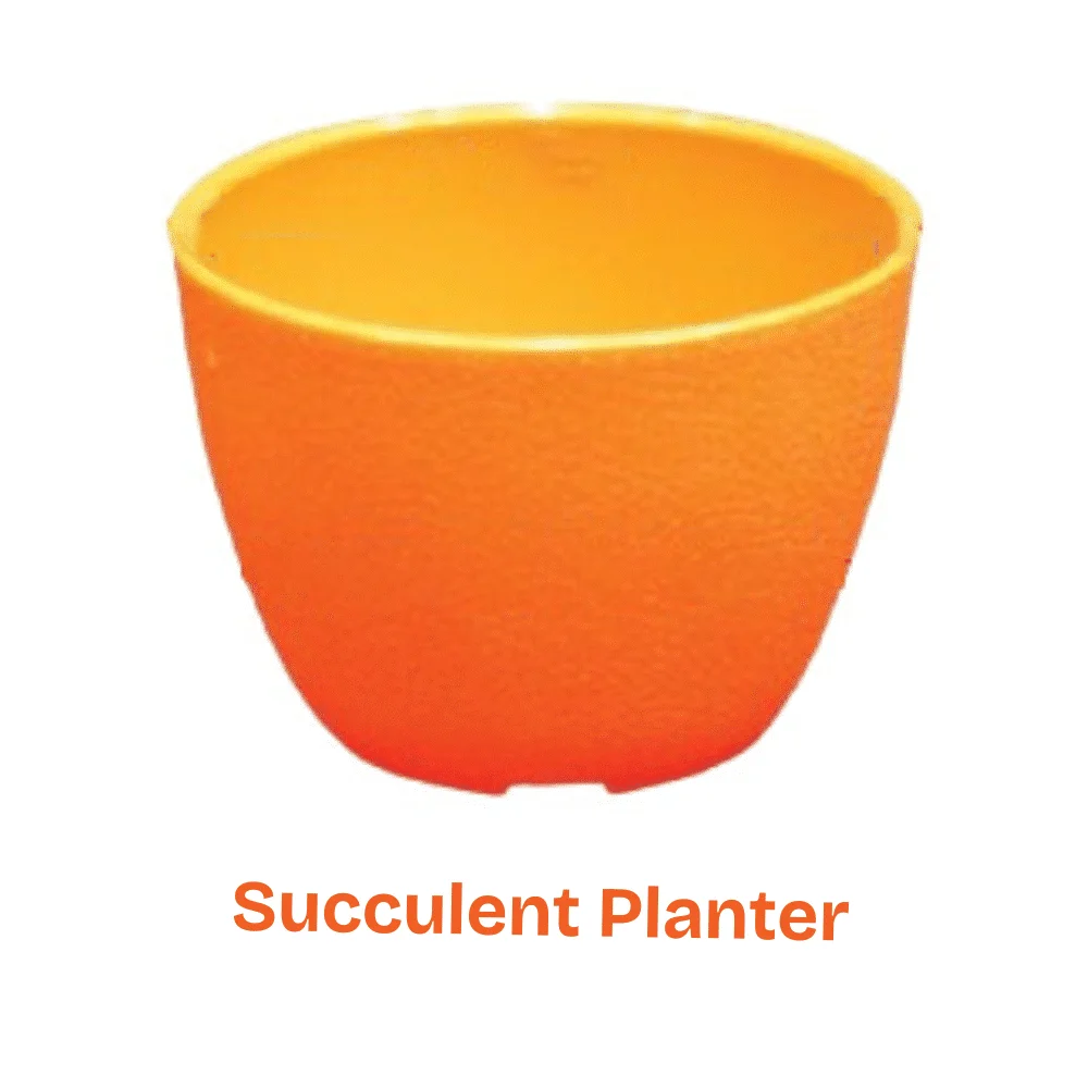 Premium Mini Succulent Planter - ইনডোর গাছের জন্য আধুনিক স্যাকুলেন্ট প্লান্টার (ফুলের টব)