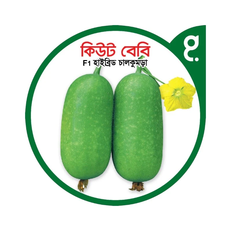 কিউট বেবি এফ১-হাইব্রিড চালকুমড়া বীজ|বীজপাতা|Cute baby F1-Pumpkin Seed|Bizpata