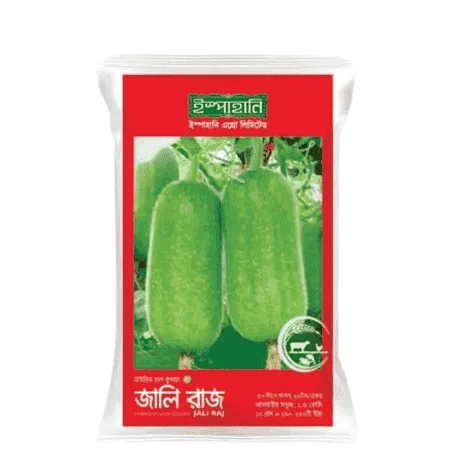 Jali Raj F1 Hybrid Wax Gourd Seeds - জালি রাজ হাইব্রিড চাল কুমড়া বীজ (Superior Yield & Uniform Size)